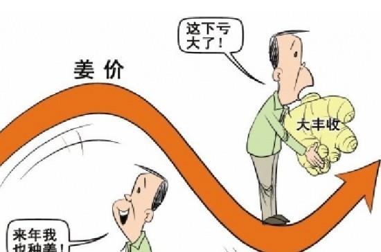 “姜你军”跌的最狠 是咋回事呢？