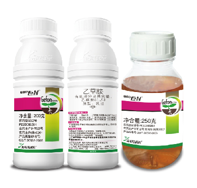 XCsports巨封