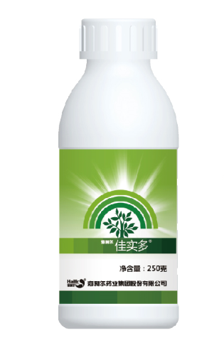 XCsports佳实多