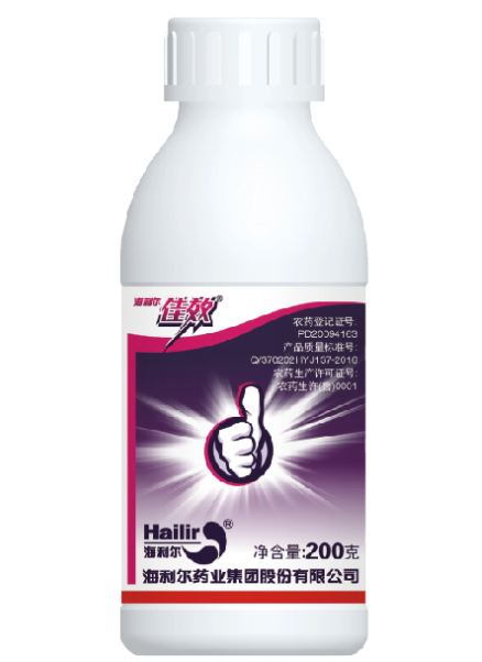 XCsports佳效